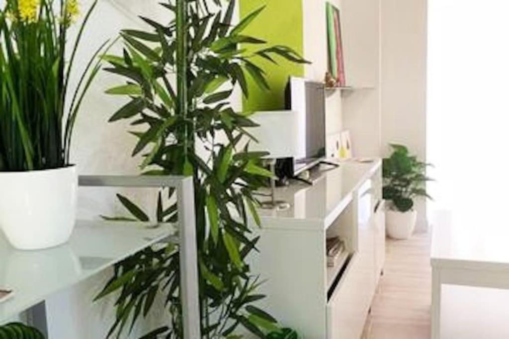 Appartement Modern Oscvict En